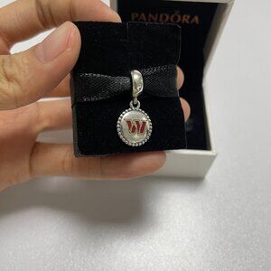 Wisconsin Badgers Pandora Charms University Pandora Charms